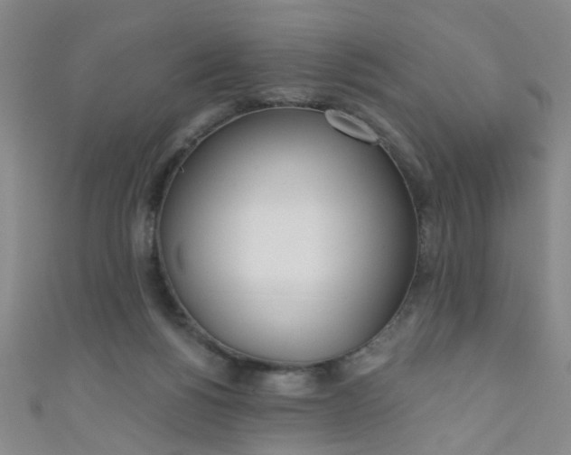 X0000110980168200907022104