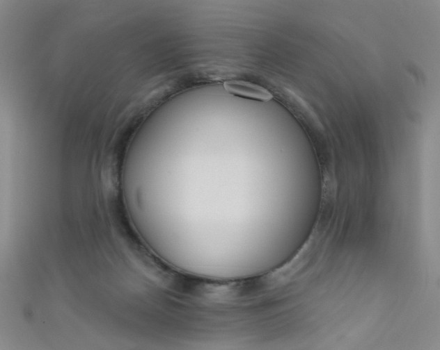 X0000110980170200907022104