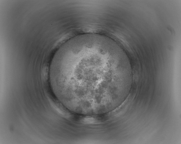 X0000110980171200907022104