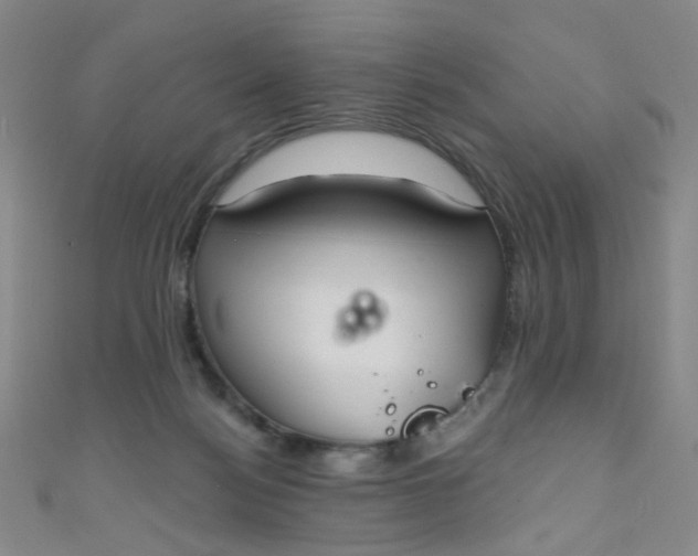 X0000110980172200907022104