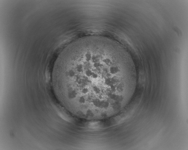 X0000110980173200907022104