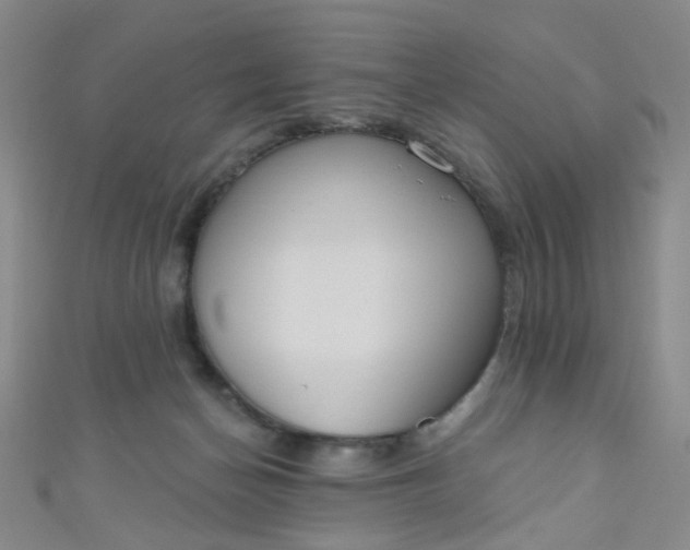 X0000110980174200907022104