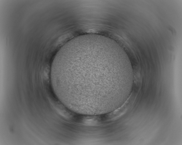 X0000110980175200907022104