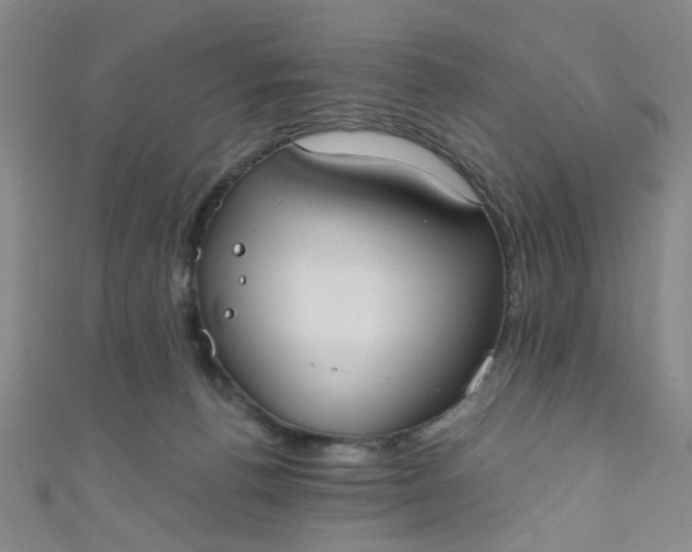 X0000110980176200907022104