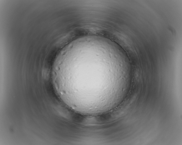 X0000110980177200907022104