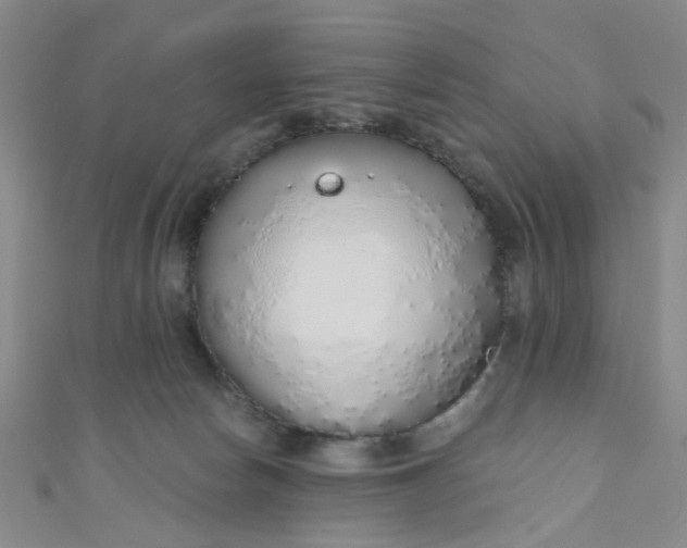 X0000110980178200907022104