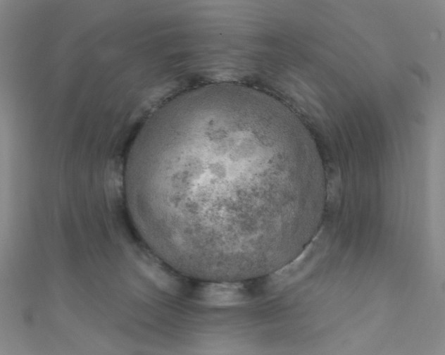 X0000110980179200907022104