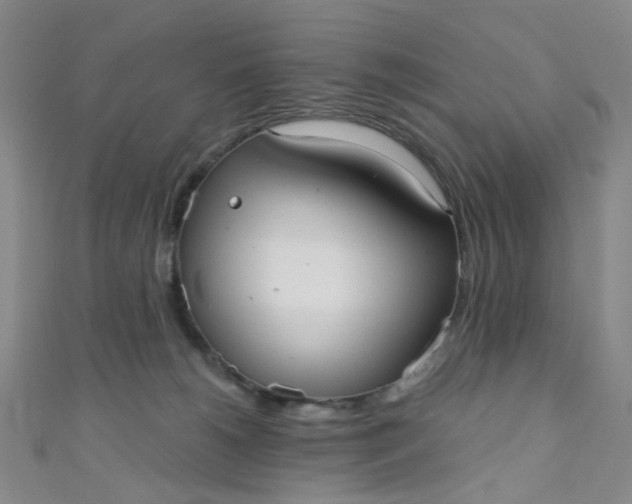 X0000110980180200907022104