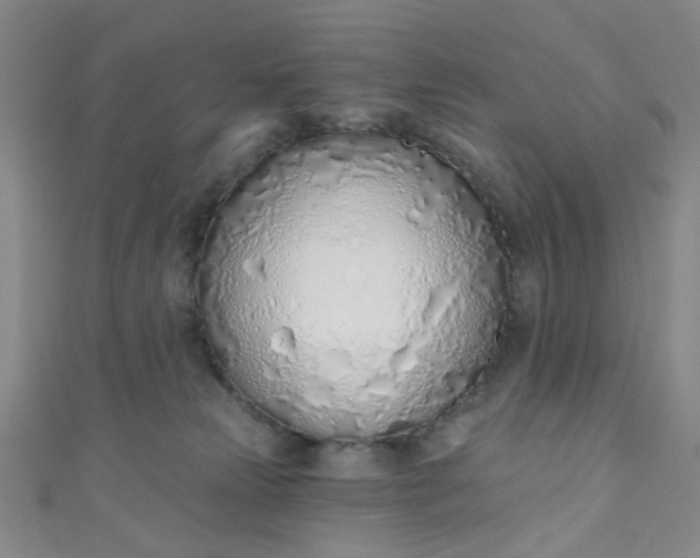 X0000110980181200907022104