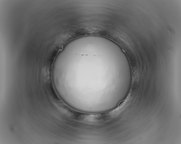 X0000110980182200907022104