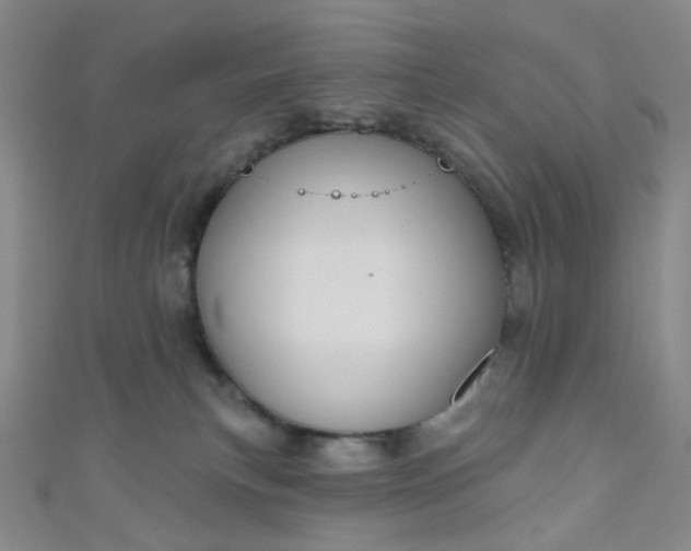 X0000110980183200907022104