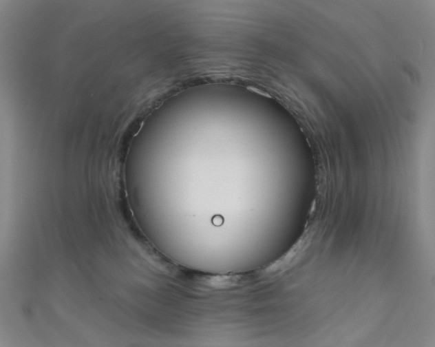 X0000110980184200907022104