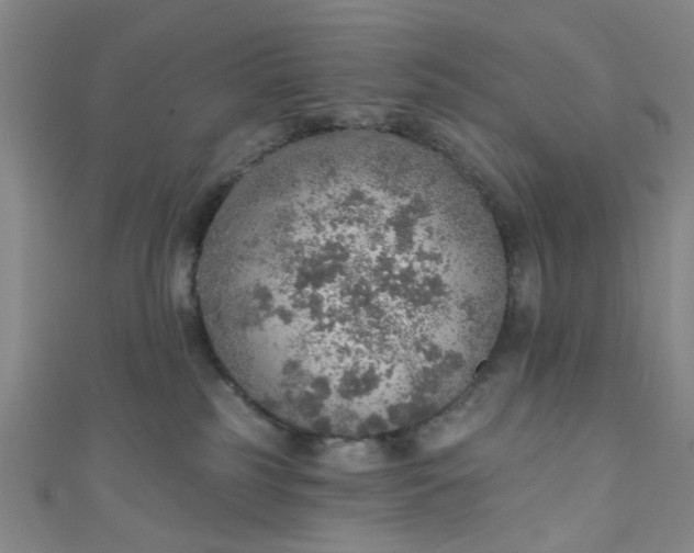 X0000110980185200907022104