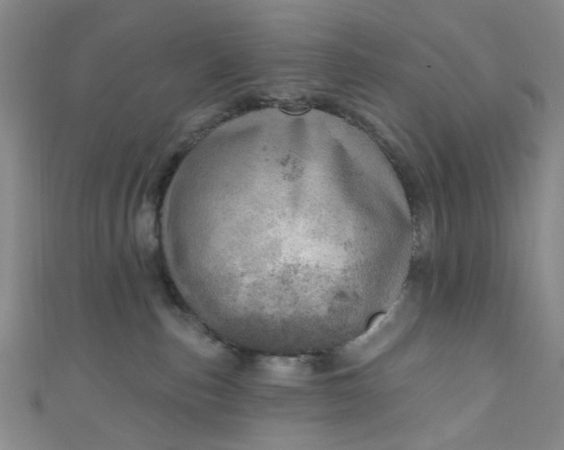 X0000110980187200907022104