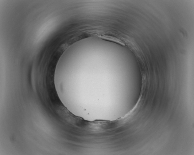 X0000110980190200907022104