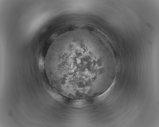 X0000110980191200907022104