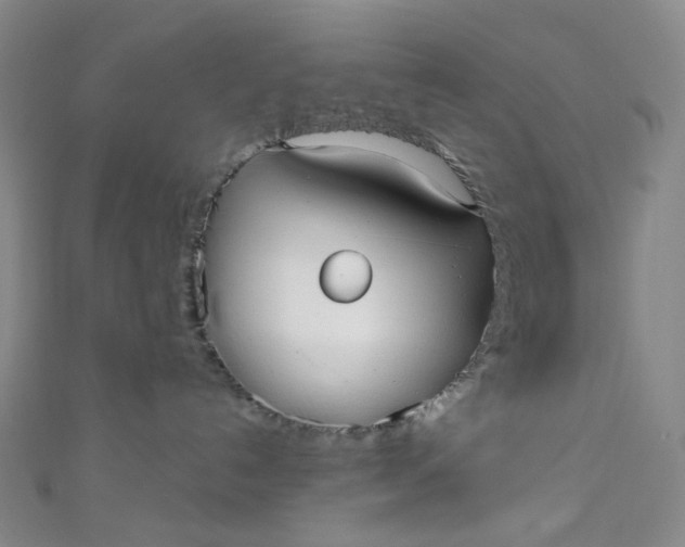 X0000110980192200907022104