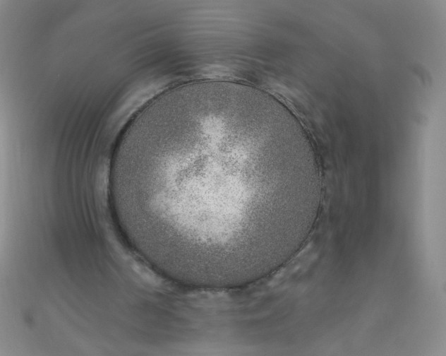 X0000110980194200907022103