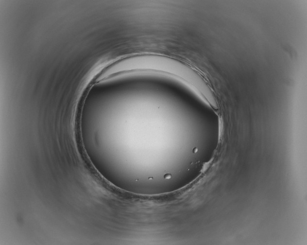 X0000110980195200907022103