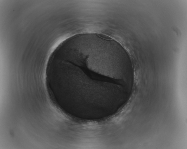 X0000110980196200907022103