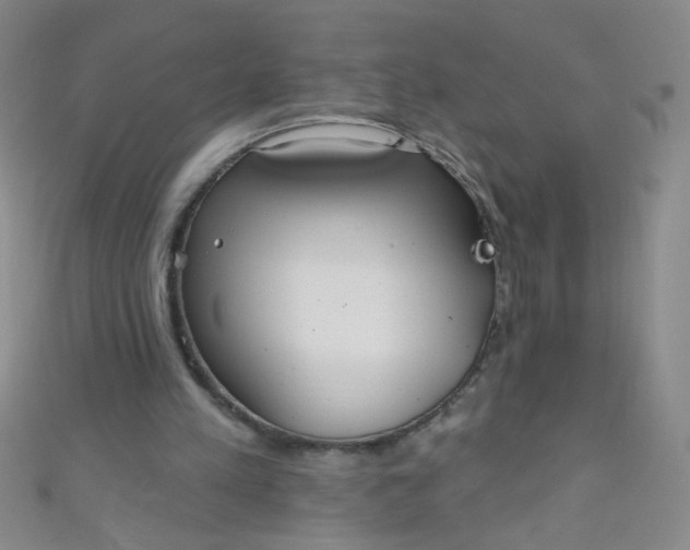 X0000110980197200907022103