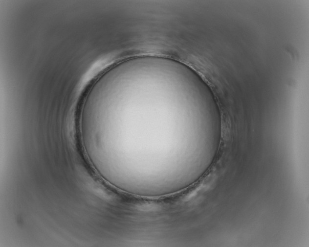 X0000110980198200907022103