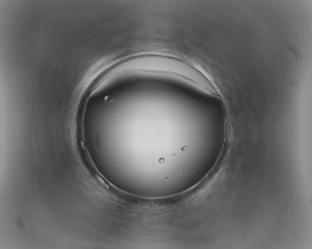 X0000110980199200907022103