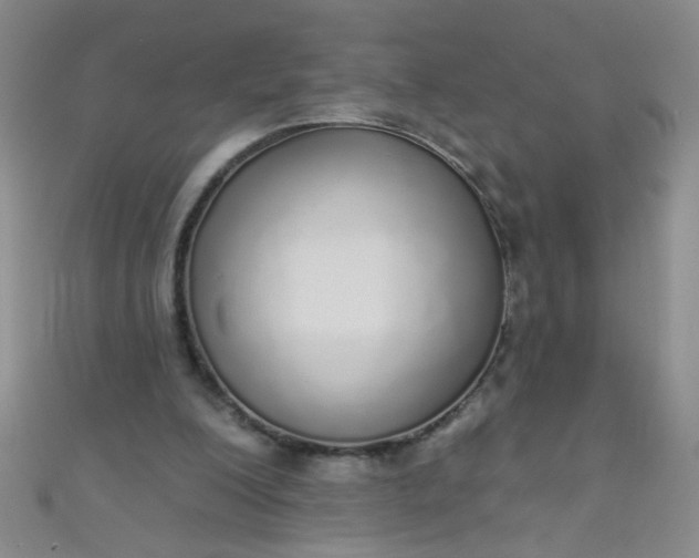 X0000110980200200907022103