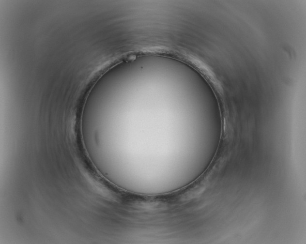 X0000110980201200907022103