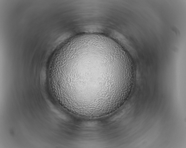 X0000110980202200907022103