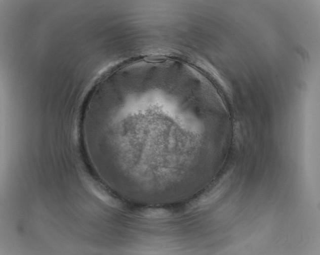 X0000110980203200907022103