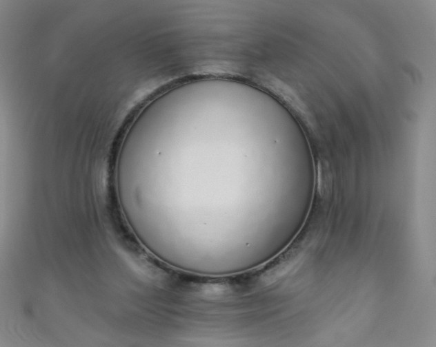 X0000110980204200907022103