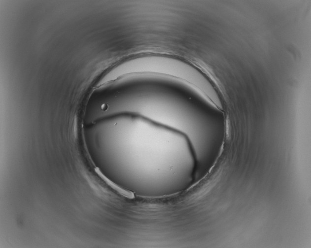 X0000110980205200907022103