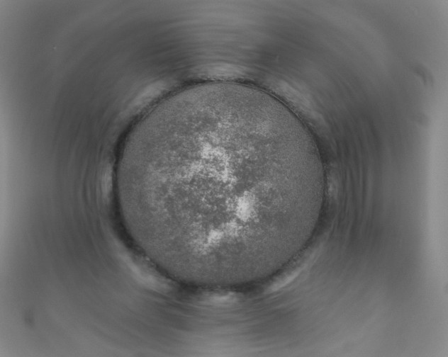 X0000110980206200907022103