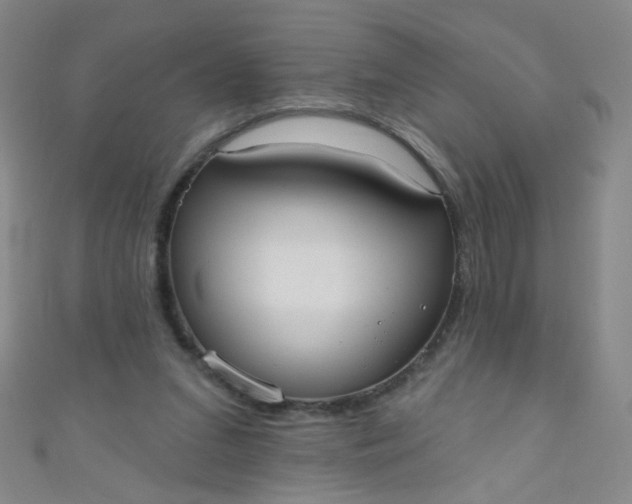 X0000110980207200907022103