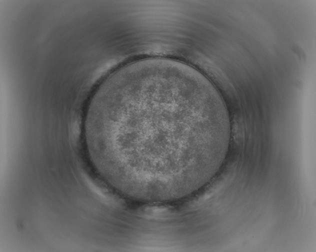 X0000110980208200907022103