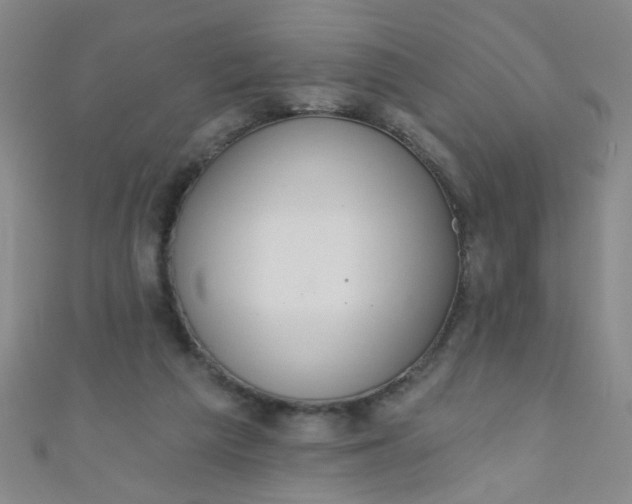 X0000110980209200907022103