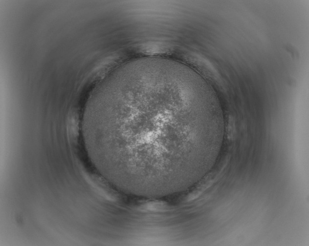 X0000110980210200907022103