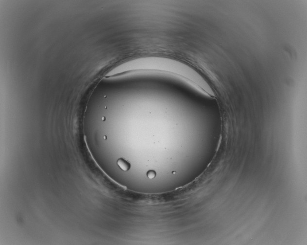 X0000110980211200907022103