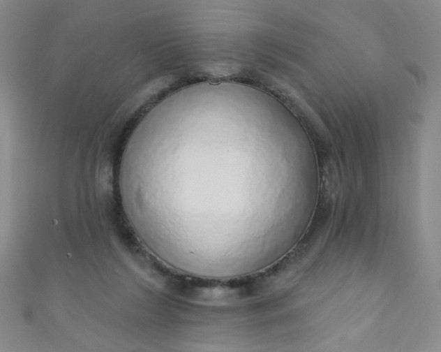 X0000110980212200907022103