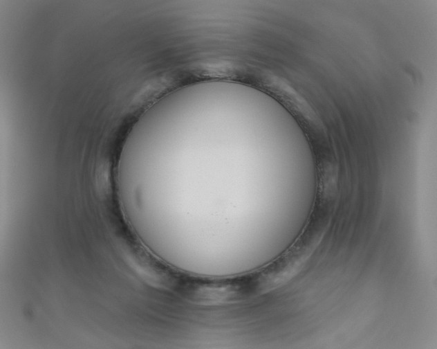 X0000110980213200907022103