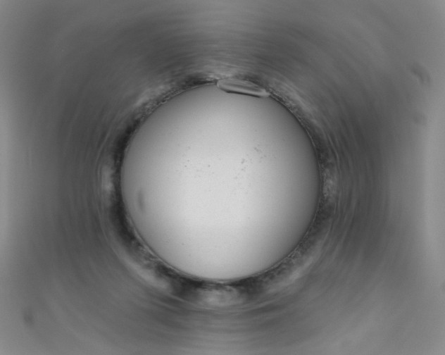 X0000110980215200907022103