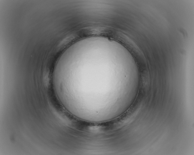 X0000110980216200907022103