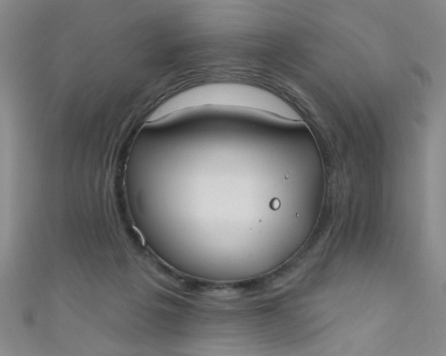 X0000110980217200907022103