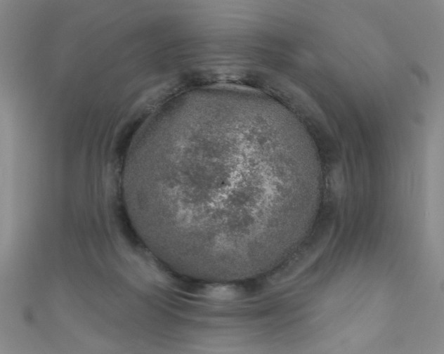 X0000110980218200907022103