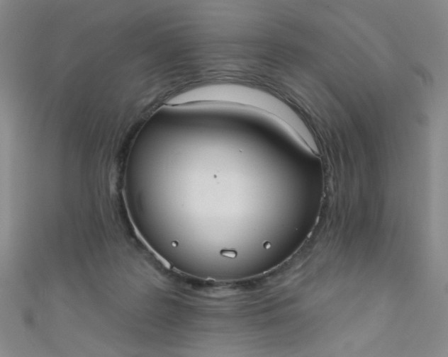 X0000110980219200907022103