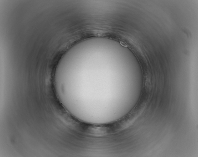 X0000110980221200907022103