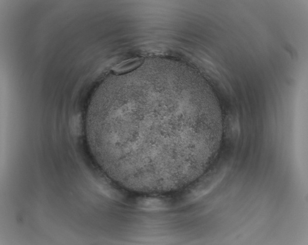 X0000110980224200907022103