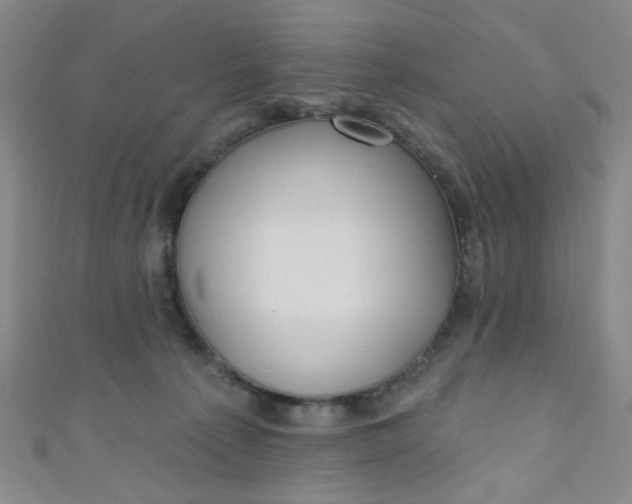 X0000110980225200907022103