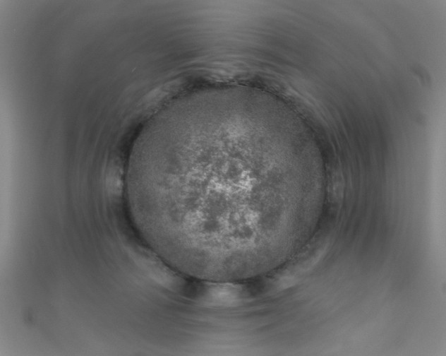 X0000110980226200907022103